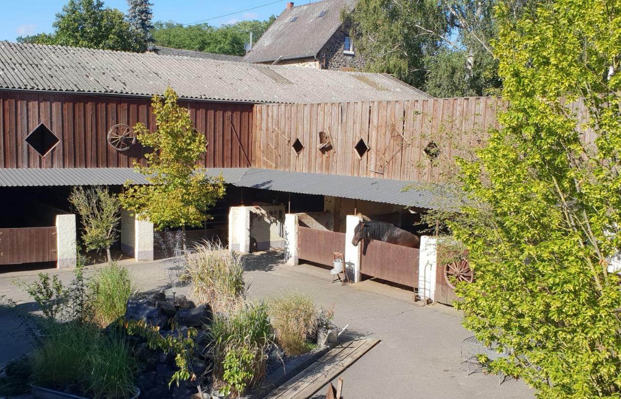 Traumwohnung Jolly Jumper Auf Idyllischem Reiterhof Naehe Burg Eltz Munstermaifeld Luaran gambar